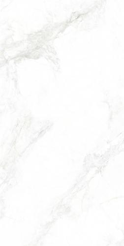 GMA156006-寒江雪-2-